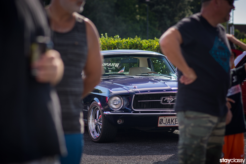 Illustration for article titled New Zealand: Caffeine & Classics Photo Dump